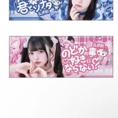 純嶺みき　BIG推しメンタオル　ガラポン　B賞　ONE 武道館　iLiFE 純嶺みき BIG推しメンタオル ガラポン B賞 ONE 武道館 iLiFE 虹