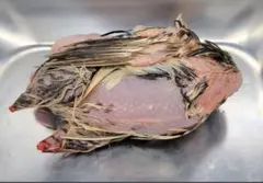 Item thumbnail for item 556a933e-e20d-4564-9487-8be42e2c1388