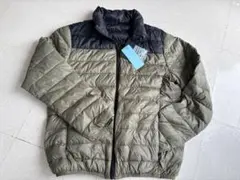 Item thumbnail for item 5db61f11-1957-4d06-873c-c482f5100294