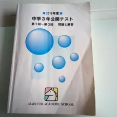 2026年最新】馬渕 公開テストの人気アイテム - メルカリ