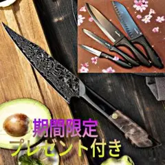 67層ダマスカス切付型ペティナイフ160mm　ディアブルレッド八角柄 67層ダマスカス切付型ペティナイフ160mm ディアブルレッド八角柄