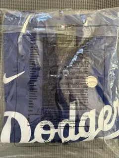 Item thumbnail for item 47a24ba2-722d-4740-857f-fff80712d215