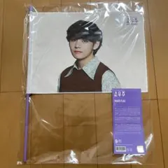 BTS V SOWOOZOO イメージフラグ