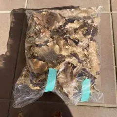 Item thumbnail for item b5434445-09f0-4537-8a61-d7bb8a4ad5bf