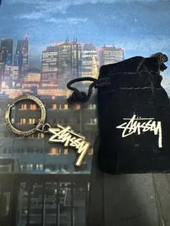 old stussy フーディー 黒 フェード ロゴ y2k 短丈 黒タグ STUSSY