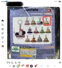 MINITEEN めじるしアクセサリー　ホシ