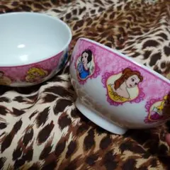 東京ディズニーランド ディズニープリンセス 子供 お茶碗 2個セット