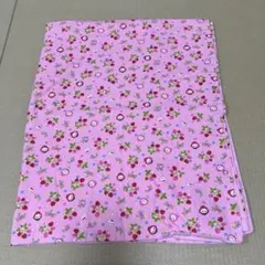 Item thumbnail for item 3c7ff30e-fda9-4bef-a589-dc166ff28adc