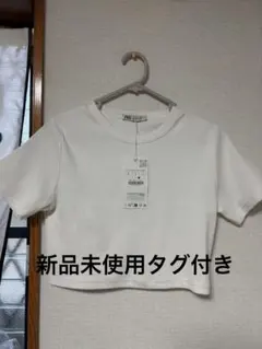 ZARA半袖リブクロップドTシャツ ホワイト