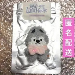 Straykids スキズ ペンミ マイクロ ウルフチャン バンチャン