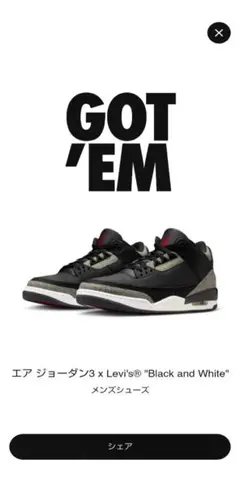 Levi’s®︎ x Nike Air Jordan 3 Black