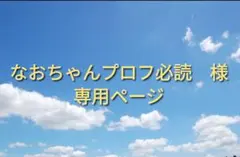 2026年最新】プロフ必読の人気アイテム - メルカリ