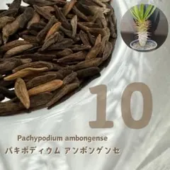 ®️様 リクエスト 4点 まとめ商品