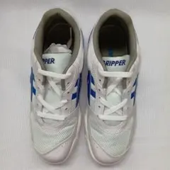 Item thumbnail for item 33d5eec7-4024-4f17-8af7-69cdbe00e35a