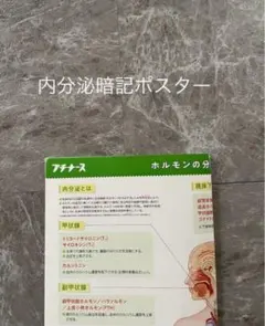 Item thumbnail for item 9a2d8b45-98ad-4022-bc80-350602abda65