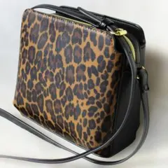 ショルダーバッグ ヒョウ柄　レオパード　肩掛け　斜め掛け　コンパクトバッグ　軽量