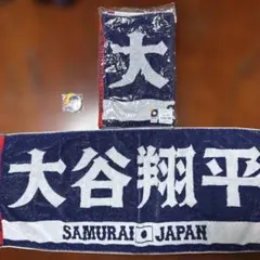 Item thumbnail for item 75702b06-22b2-4499-99c1-28587c2326f3