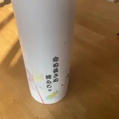 ステンレスボトル500ml