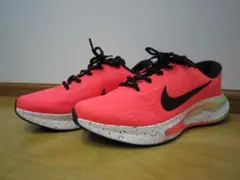 NIKE WMNS JOURNEY RUN HJ7352-674 24.0cm