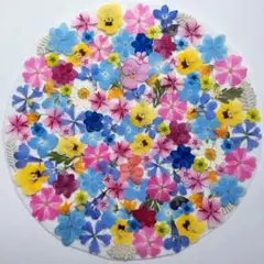 押し花素材　2㎝以下の小花