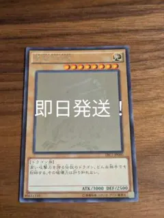 青眼の白龍 ホロ