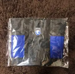 ガンバ大阪　特大保冷トートバッグ