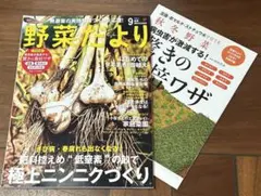 Item thumbnail for item 63d480b4-e3bc-4a88-9179-aa6020acac28