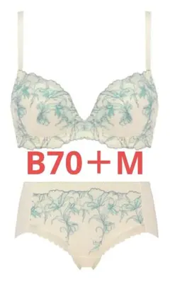 新品　トリンプ　天使のブラ　極上ライト634　上下セット