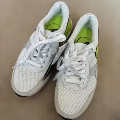 Item thumbnail for item 95b1ec33-5499-425a-8f59-178d7c41cf8a