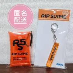 GIGO限定 RIP SLYME アクリルキーホルダー2種 リップスライム - メルカリ