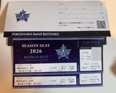 ペアチケット　8月21日横浜DeNAvs阪神タイガースのサムネイル