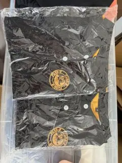 Item thumbnail for item 8971ee45-c2c4-46e5-bef1-db4e66b49e0e