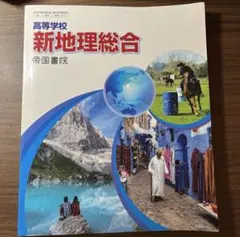 新地理総合