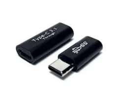 Access 10Gbps 2個セット USB Type C 延長アダプタ