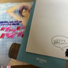 櫻井しゅしゅしゅ ファースト画集 グッドハザード