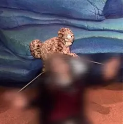 ヒョウ柄ファンキャップ