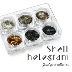 ホログラム 乱切り メタル ラメ ジェルネイル アート ネイル ネイルアート