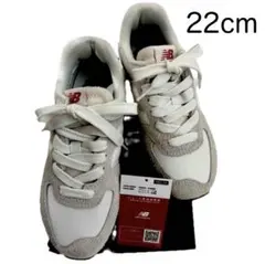 【美品】ニューバランス スニーカー厚底WL574ZQD 22cm