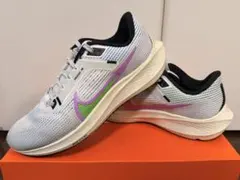 Item thumbnail for item 61cd4e54-8ea5-4011-8414-2effab37dce8