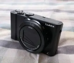 Item thumbnail for item 2220aba4-29d7-466f-b337-d185bc03677b