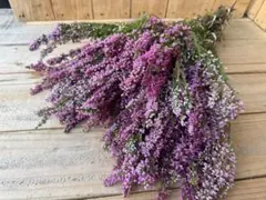 Rino様 リクエスト 2点 まとめ商品