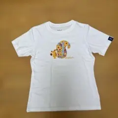 ホールアース　白　機能Tシャツ　アウトドア　L