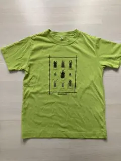 mont-bell 昆虫プリント Tシャツ　速乾　モンベル　140 キッズ