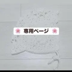 ちぃさま　専用ページ