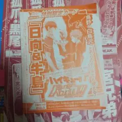 ハイキュー!! バボカ!! Vジャンプ付録