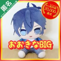 カラフルピーチ おおきなBIGぬいぐるみ 【なおきり】