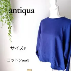 b2828アンティカ スウェットトレーナーネイビーF綿100%カジュアルシンプル