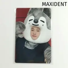 【Stray Kids】MAXIDENT JYPSHOP トレカ バンチャン