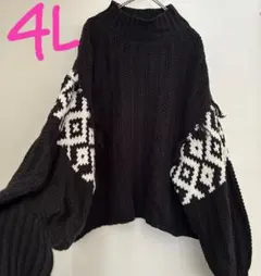 【新品タグ付き　大きいサイズ】袖ボリューム切替デザインニット　4L