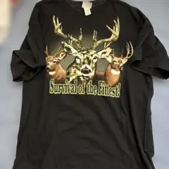 Item thumbnail for item 8e6d0660-7f0f-442b-94f4-03f07bf93615